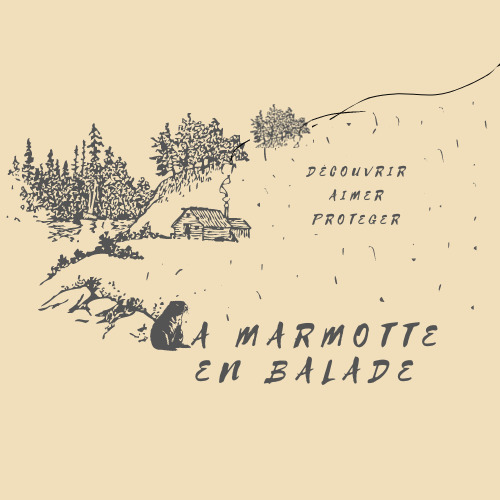 La marmotte en balalde